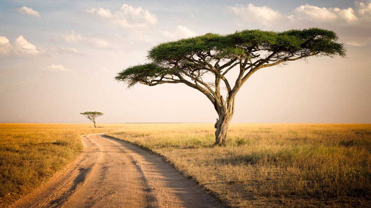 Utforska Afrikas magi: Upptäck det fantastiska Tanzania